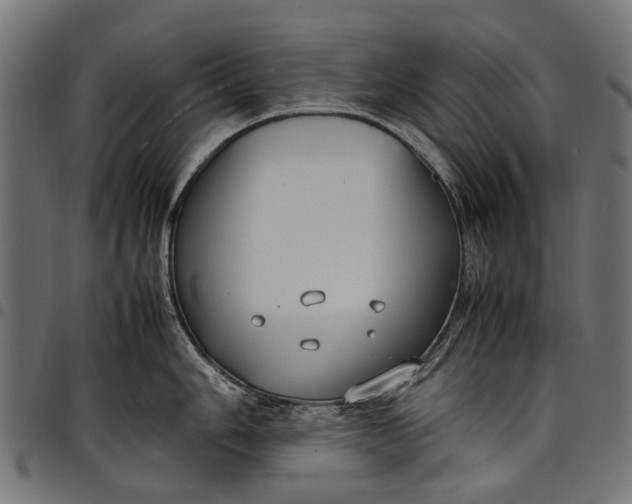 X0000097821006200803281117