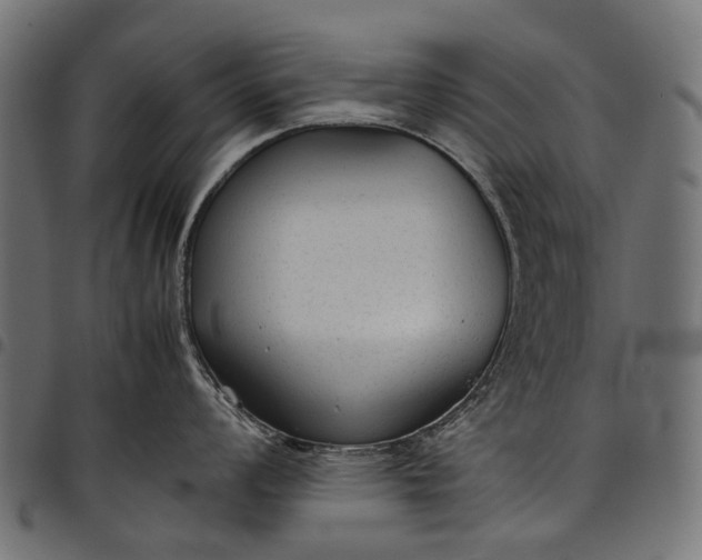 X0000097821008200803281117