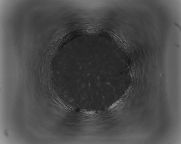 X0000097821009200803281116