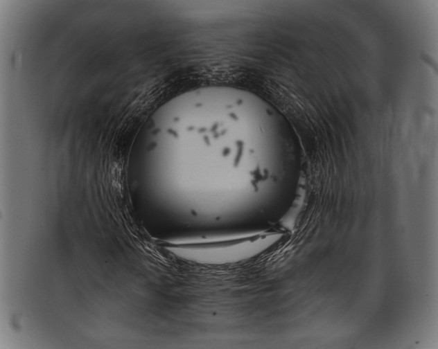 X0000097821010200803281116