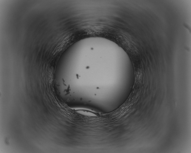 X0000097821012200803281116