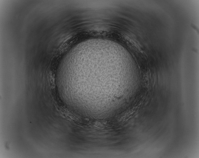 X0000097821013200803281116