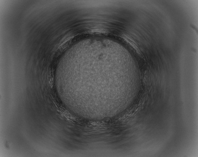 X0000097821015200803281116