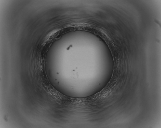 X0000097821016200803281116