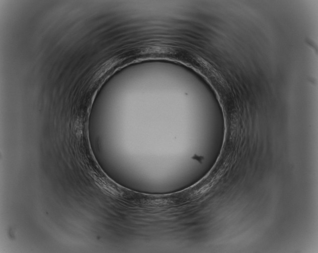 X0000097821017200803281116