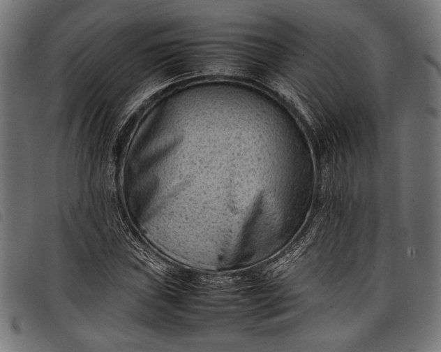 X0000097821019200803281116