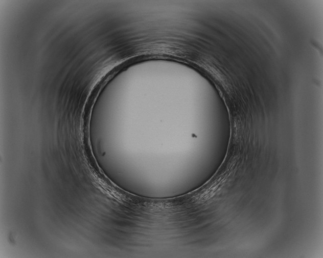 X0000097821020200803281116