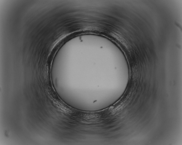 X0000097821021200803281116