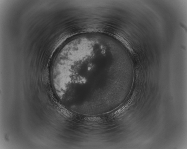 X0000097821023200803281116