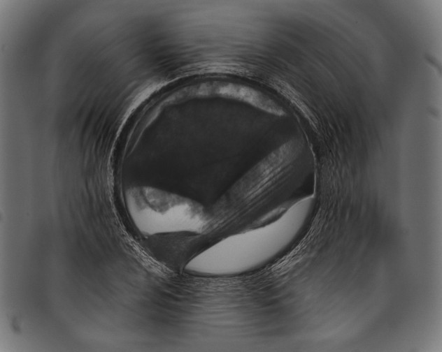 X0000097821024200803281116