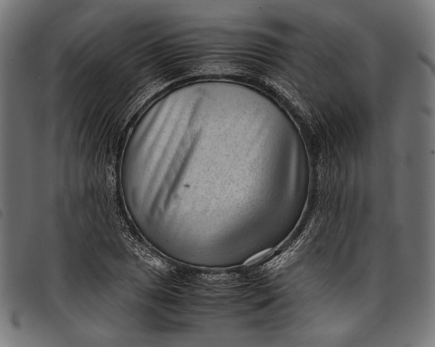 X0000097821025200803281116