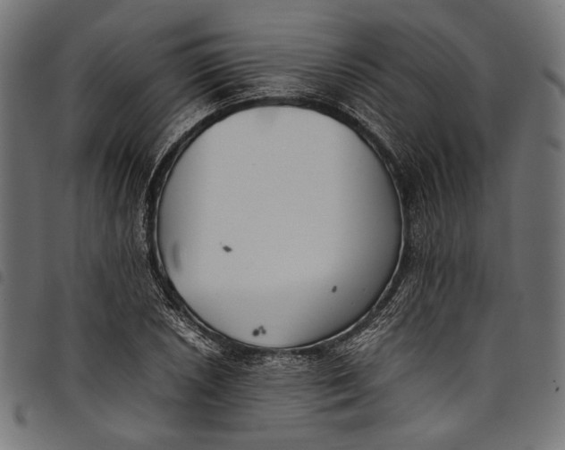 X0000097821026200803281116