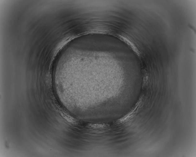 X0000097821027200803281116