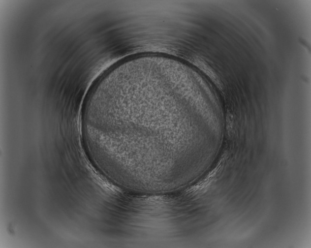 X0000097821028200803281116