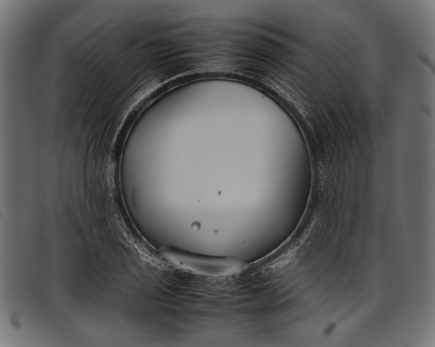 X0000097821029200803281116