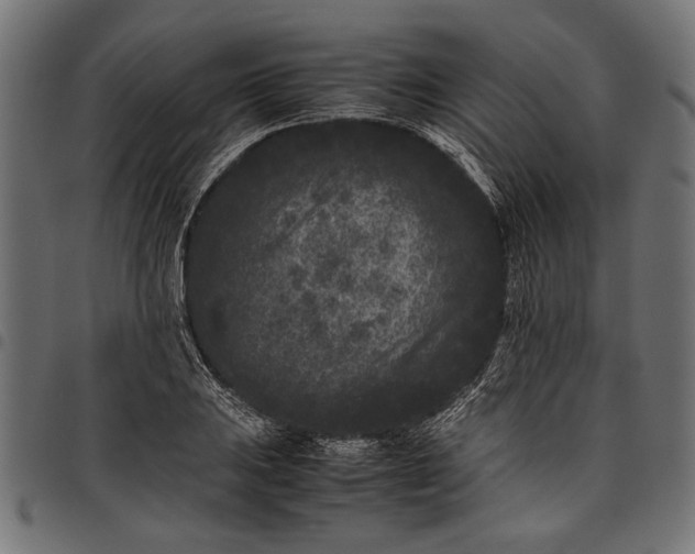 X0000097821031200803281117