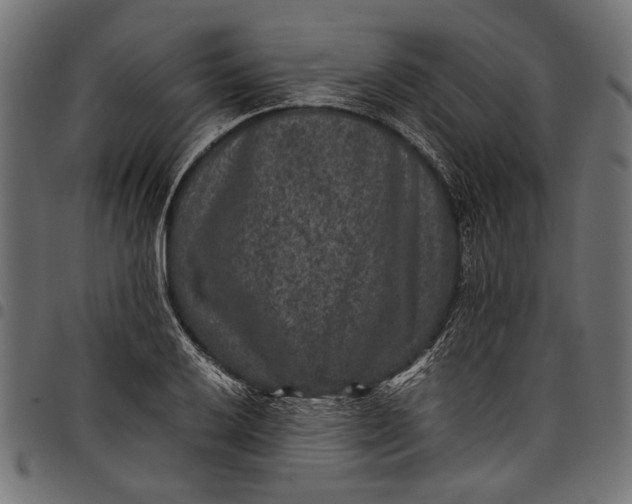 X0000097821032200803281117