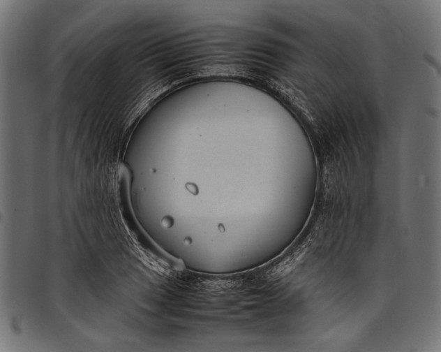 X0000097821033200803281117