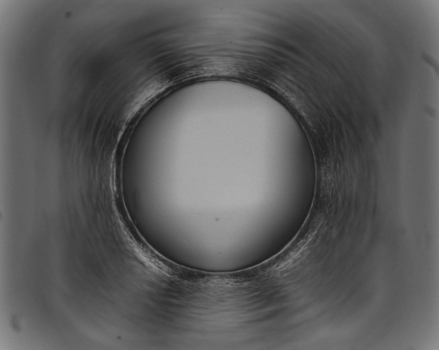 X0000097821034200803281117