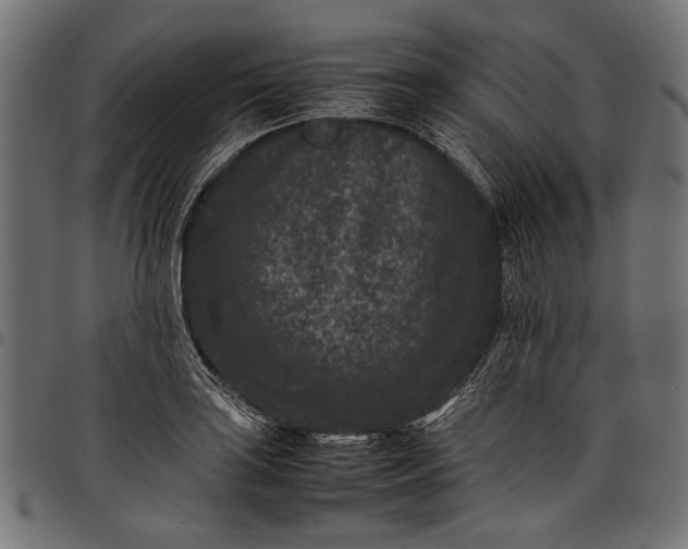 X0000097821035200803281117