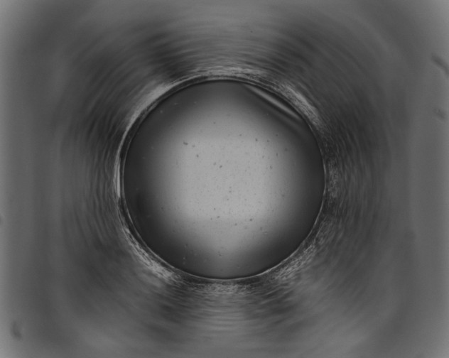 X0000097821036200803281117