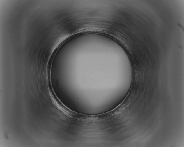 X0000097821038200803281117