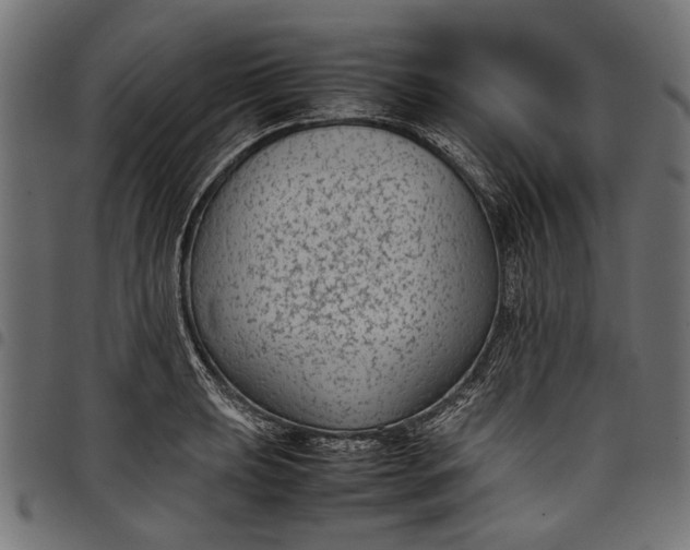 X0000097821039200803281117