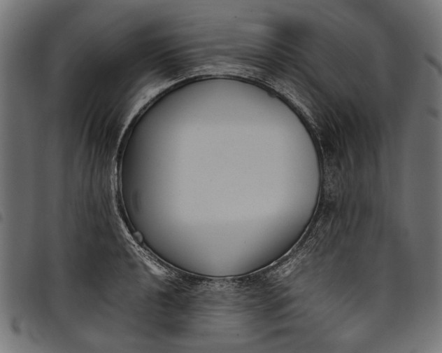 X0000097821040200803281117