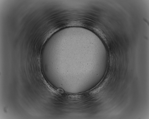 X0000097821041200803281117