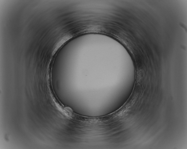 X0000097821042200803281117