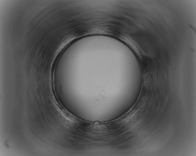 X0000097821043200803281117