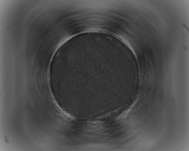 X0000097821045200803281117