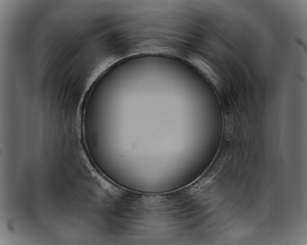 X0000097821046200803281117