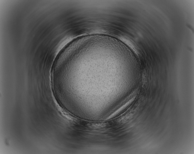 X0000097821047200803281117