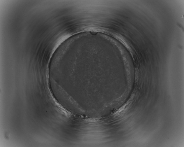 X0000097821048200803281117