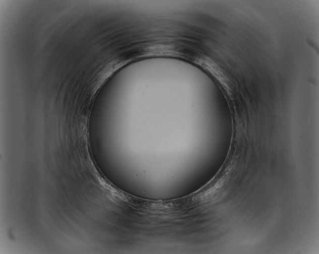 X0000097821049200803281117