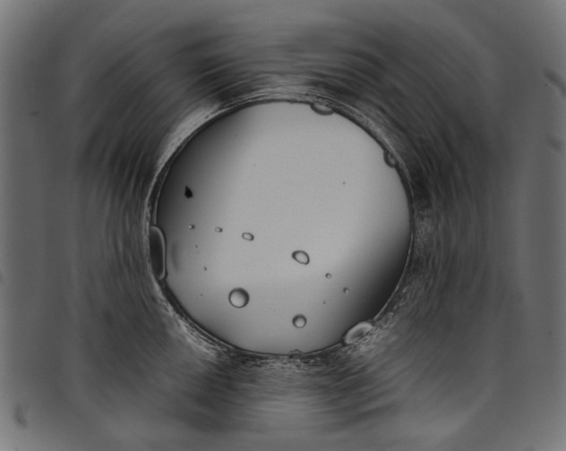 X0000097821050200803281117