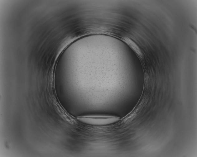 X0000097821052200803281117