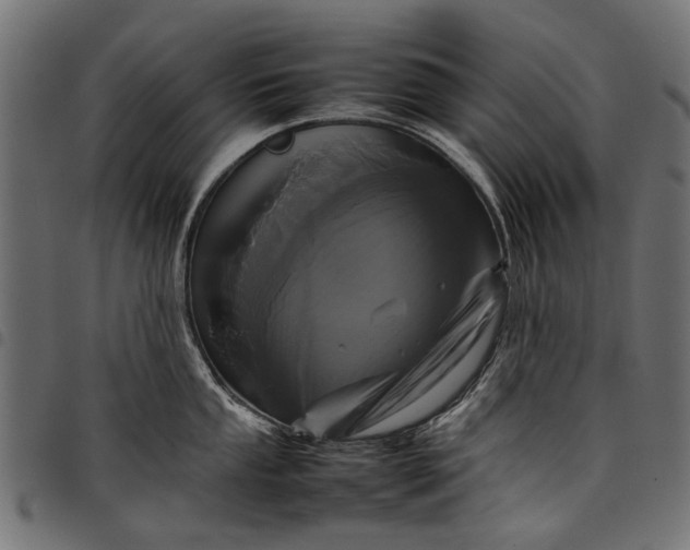 X0000097821053200803281117