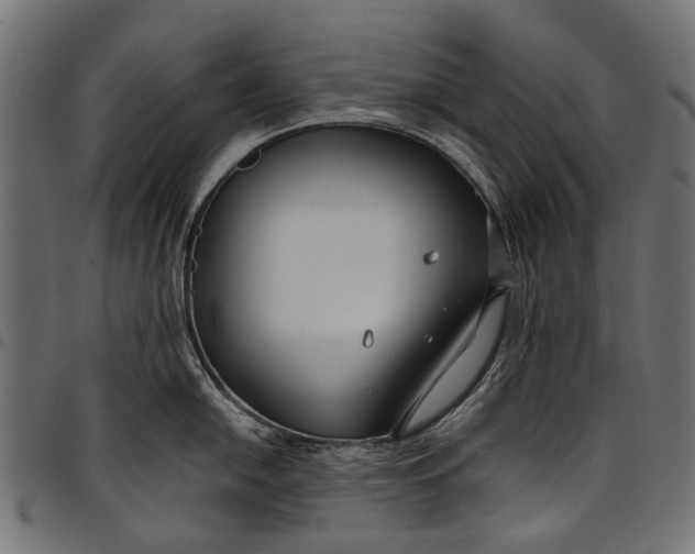 X0000097821054200803281117