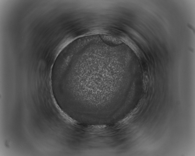 X0000097821055200803281117