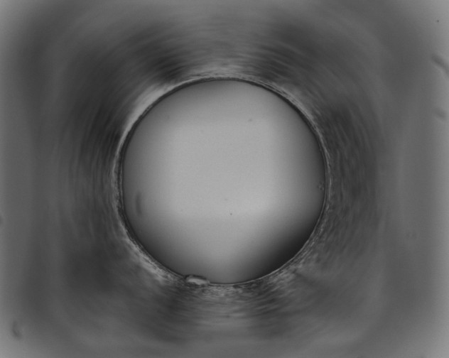 X0000097821056200803281117