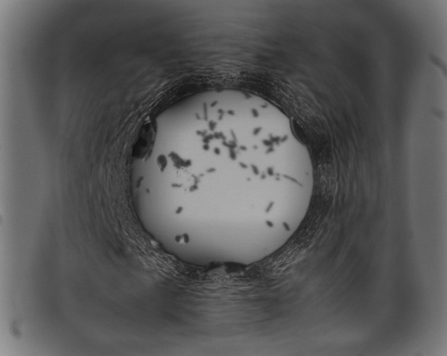 X0000097821057200803281116