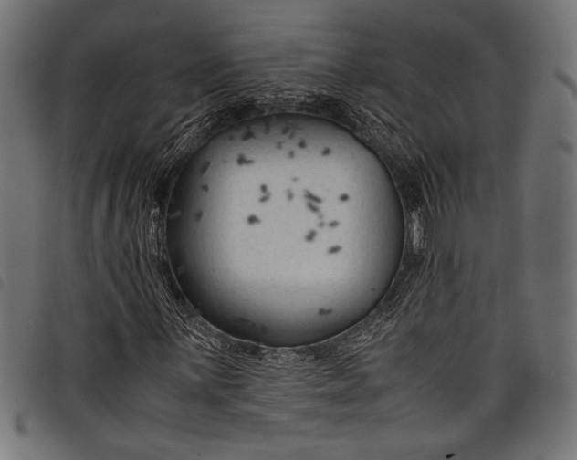 X0000097821059200803281116