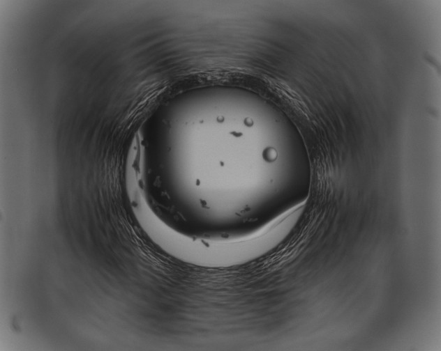 X0000097821060200803281116