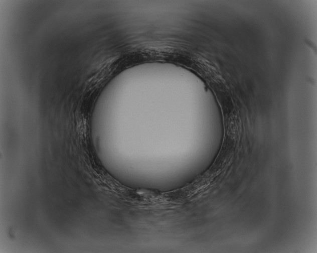 X0000097821061200803281116