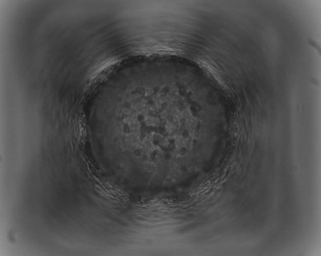 X0000097821063200803281116