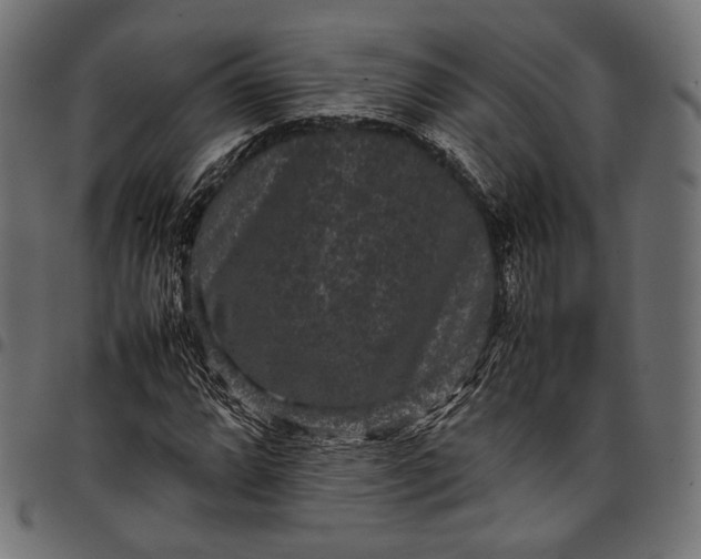 X0000097821064200803281116