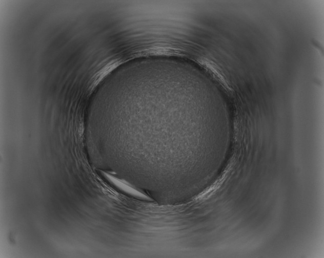 X0000097821065200803281116