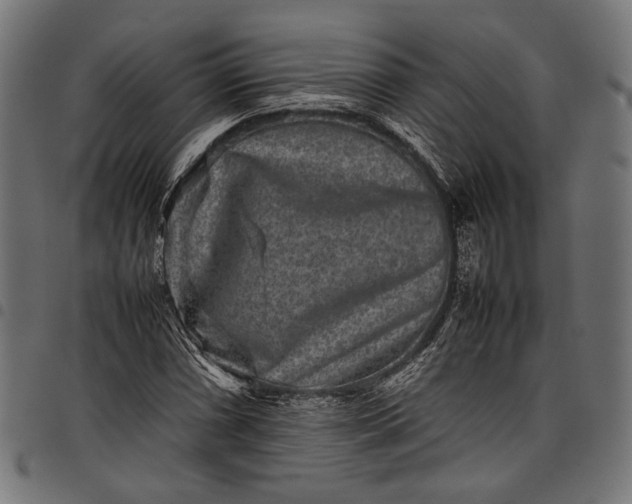 X0000097821066200803281116